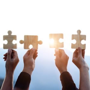 Companites with commitment to DEI values in 2025